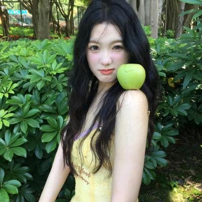玫瑰计划