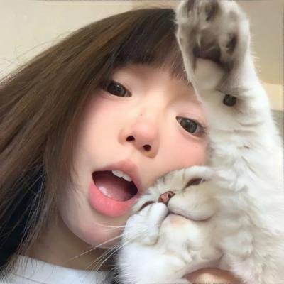 台风家族